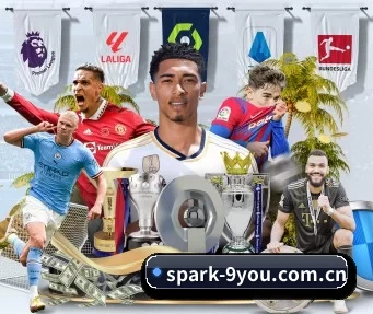 spark-9you.com.cn APP